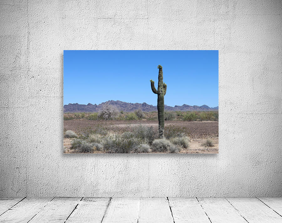 Saguaro desert scene Wall Preview