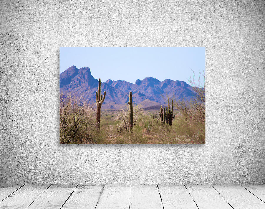 Desert landscape - Quartzsite Wall Preview