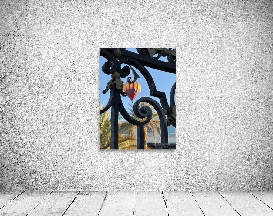 Through the Gate Wall Preview