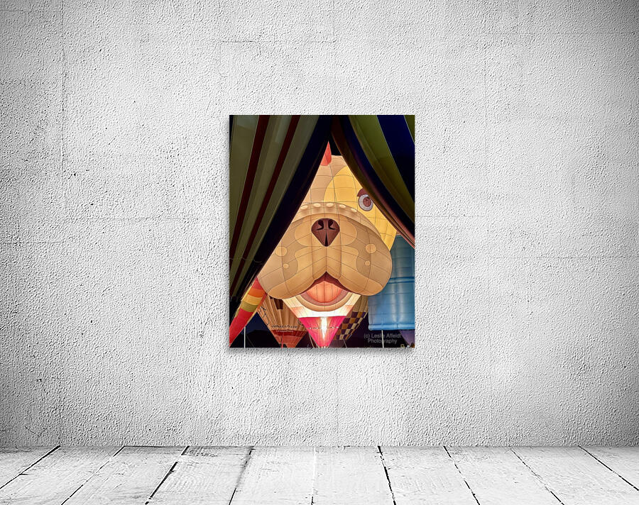 Peek A Boo Wall Preview