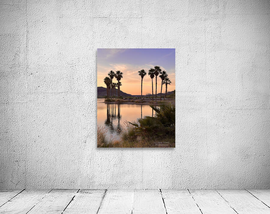 Sunset at Davis Camp -3 vertical Wall Preview