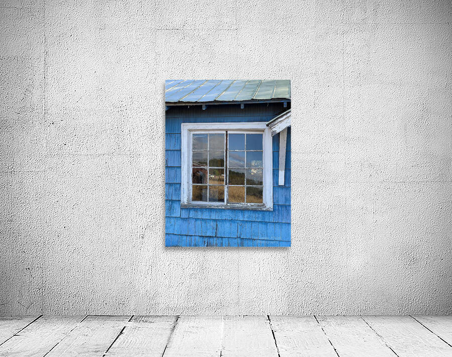 IMG 4841 Wall Preview