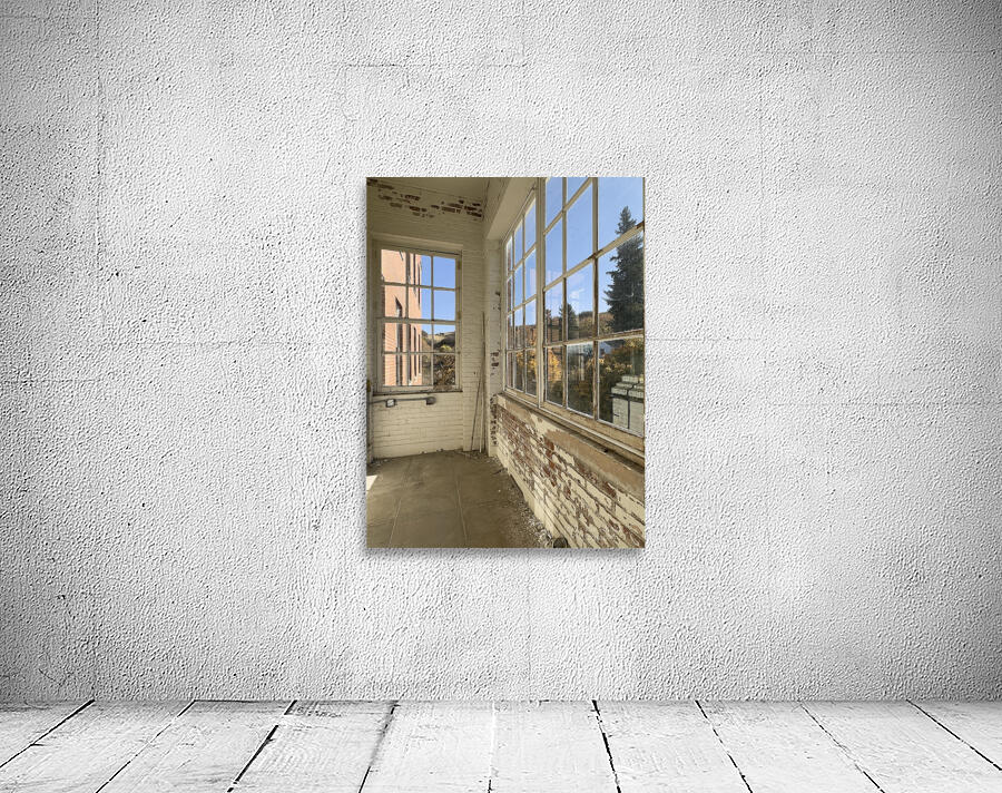 IMG 3402 Wall Preview