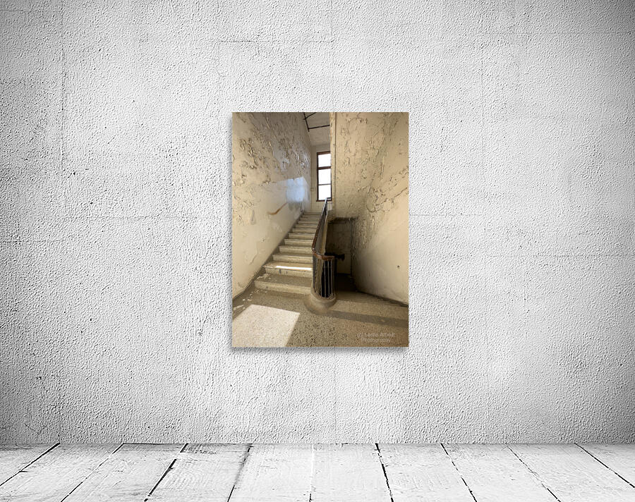 IMG 3400 Wall Preview