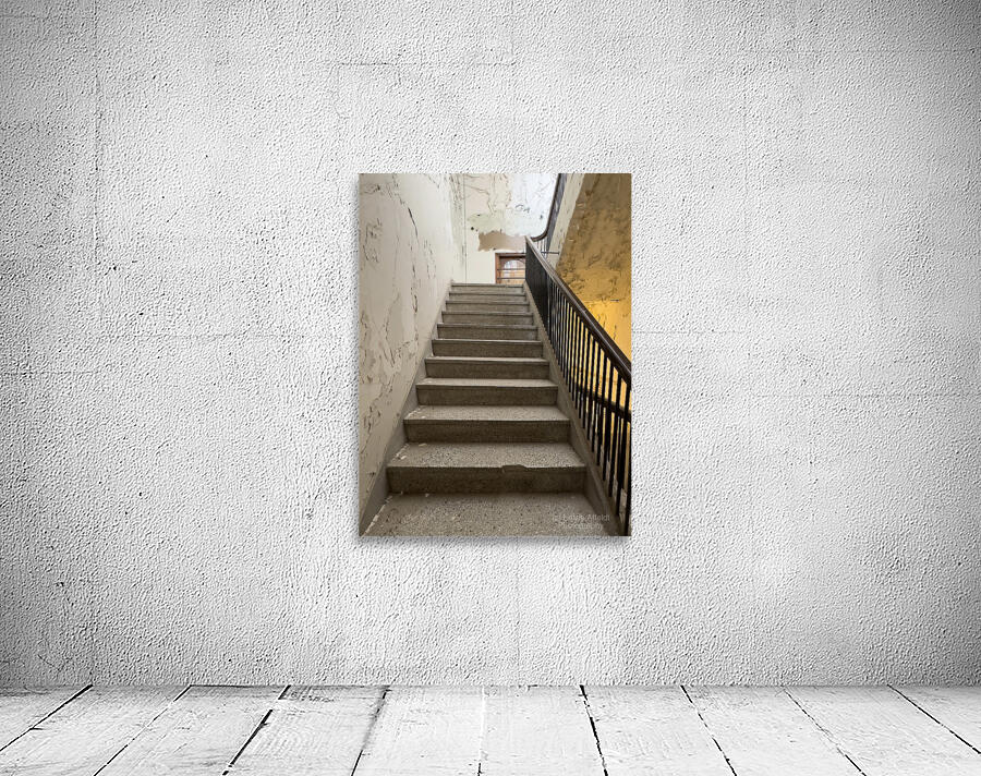 IMG 3404 Wall Preview