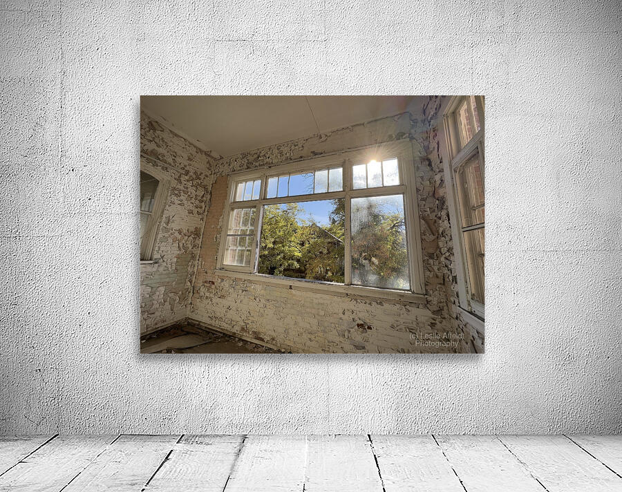 IMG 3399 Wall Preview