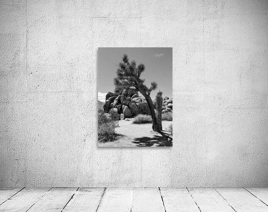 Joshua Tree Wall Preview