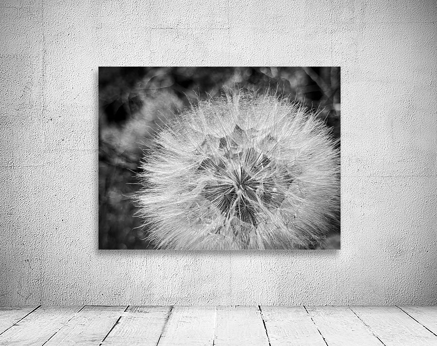 Dandelion Wall Preview