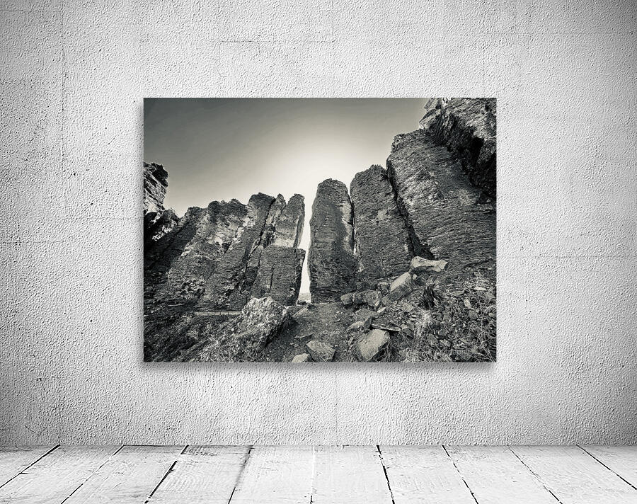 The Feathers Wall Preview