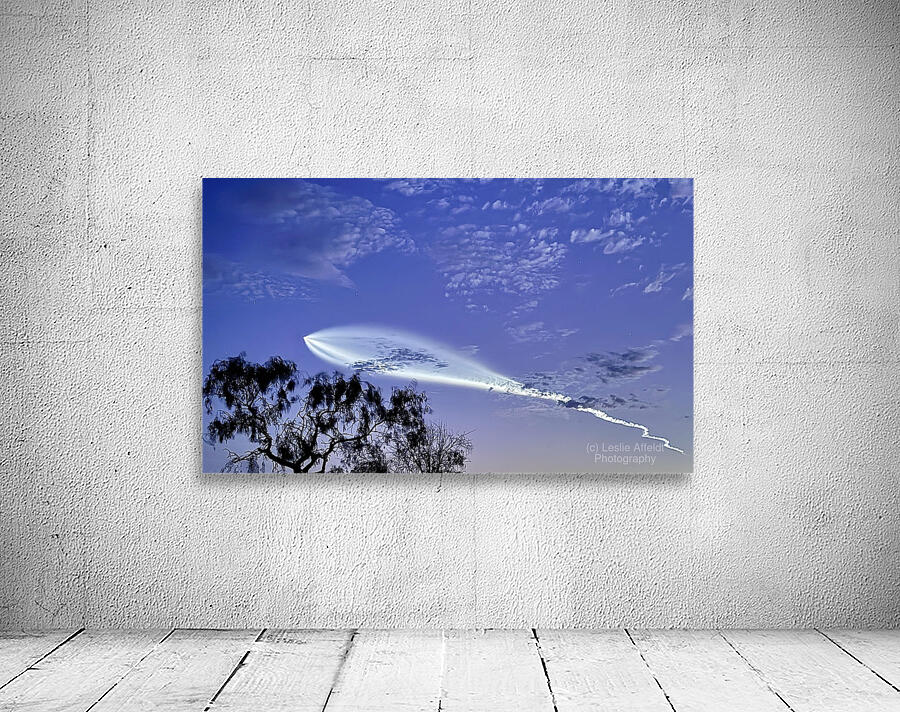 Space X launch -2 Wall Preview