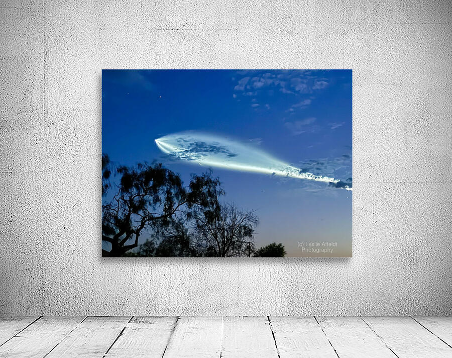 Space X Launch -1 Wall Preview