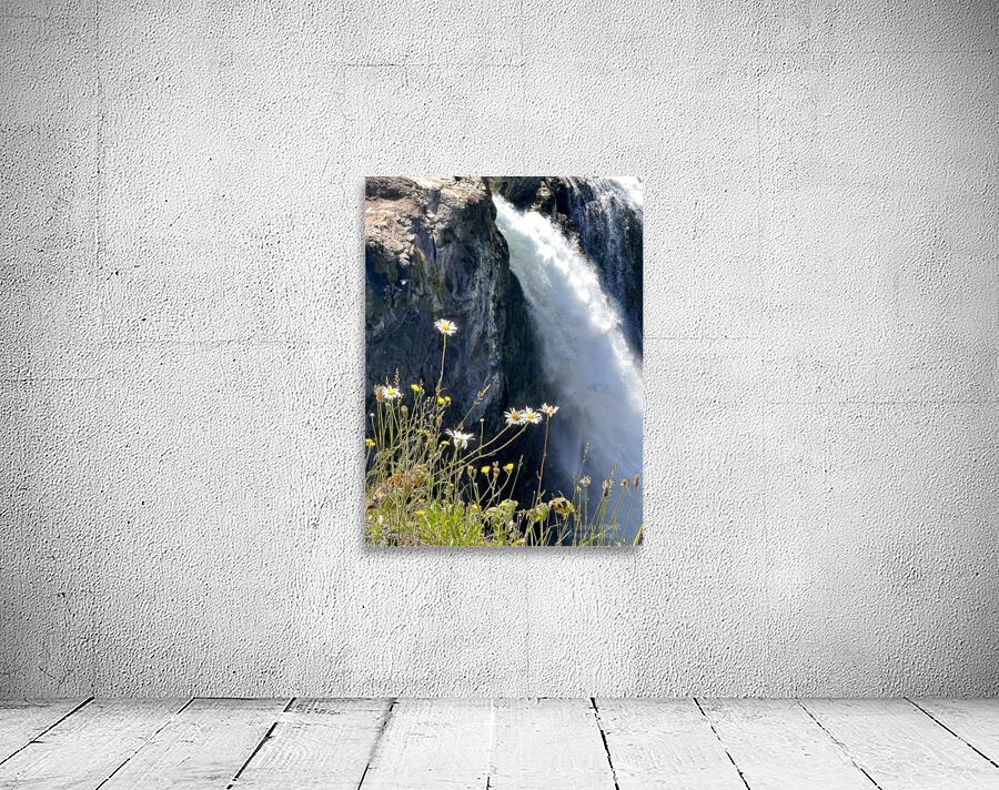 Snoqualmie falls through the Daiseys Wall Preview