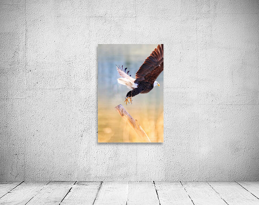 Take Flight Wall Preview