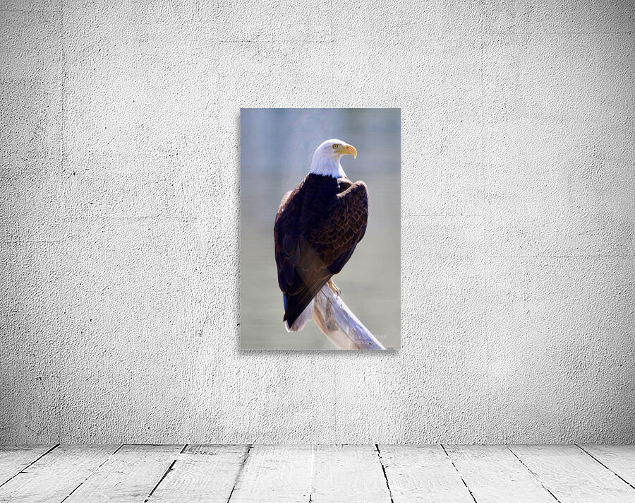 Majestic Wall Preview