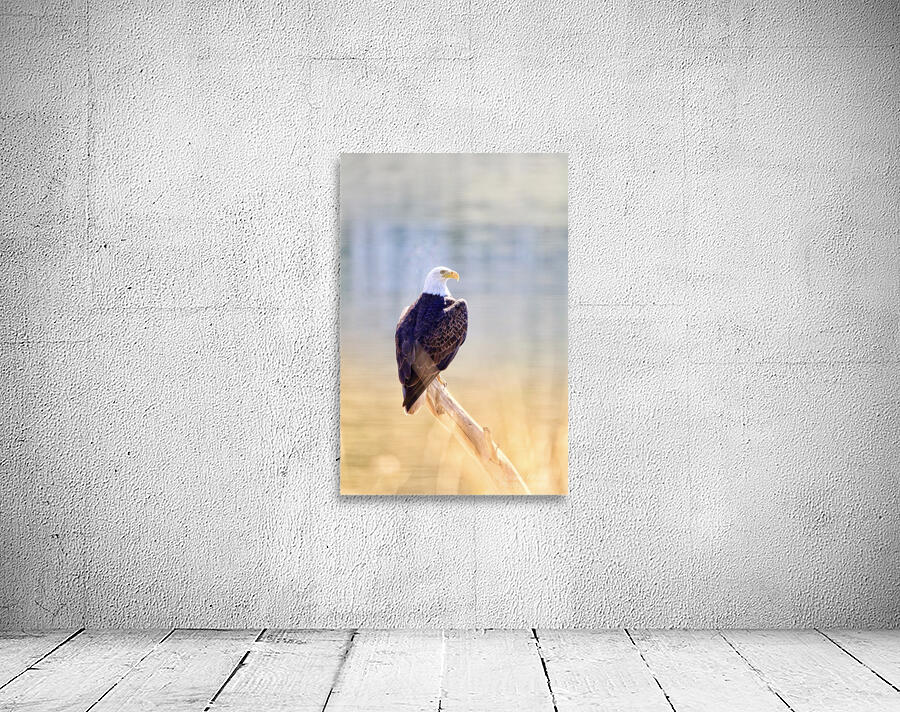 On Duty Wall Preview