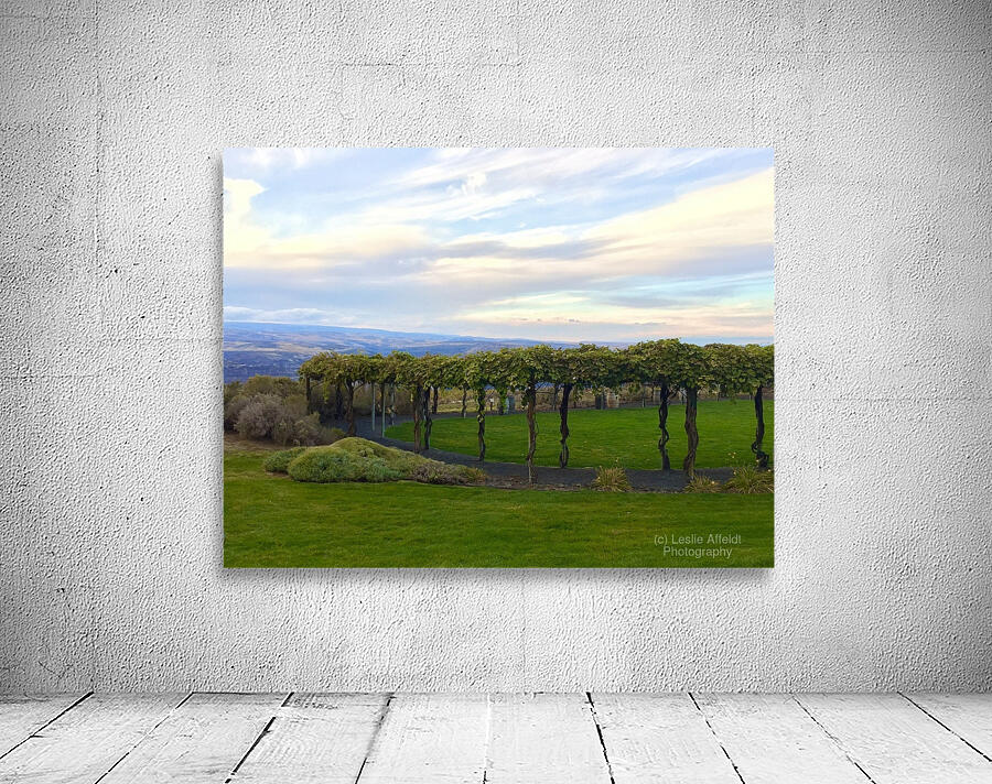 The piazza at Cave B Winery Wall Preview