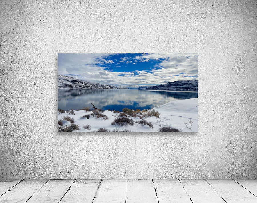 Winter Cove Wall Preview