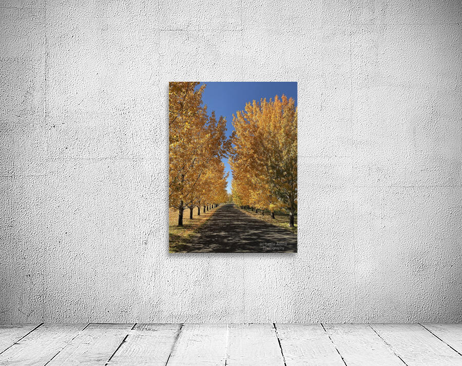 The Road to Cave B Wall Preview