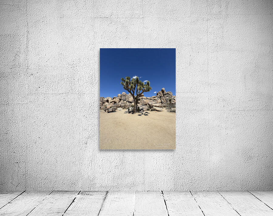 Joshua Tree -3 Wall Preview