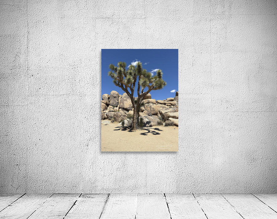 Joshua Tree -2 Wall Preview