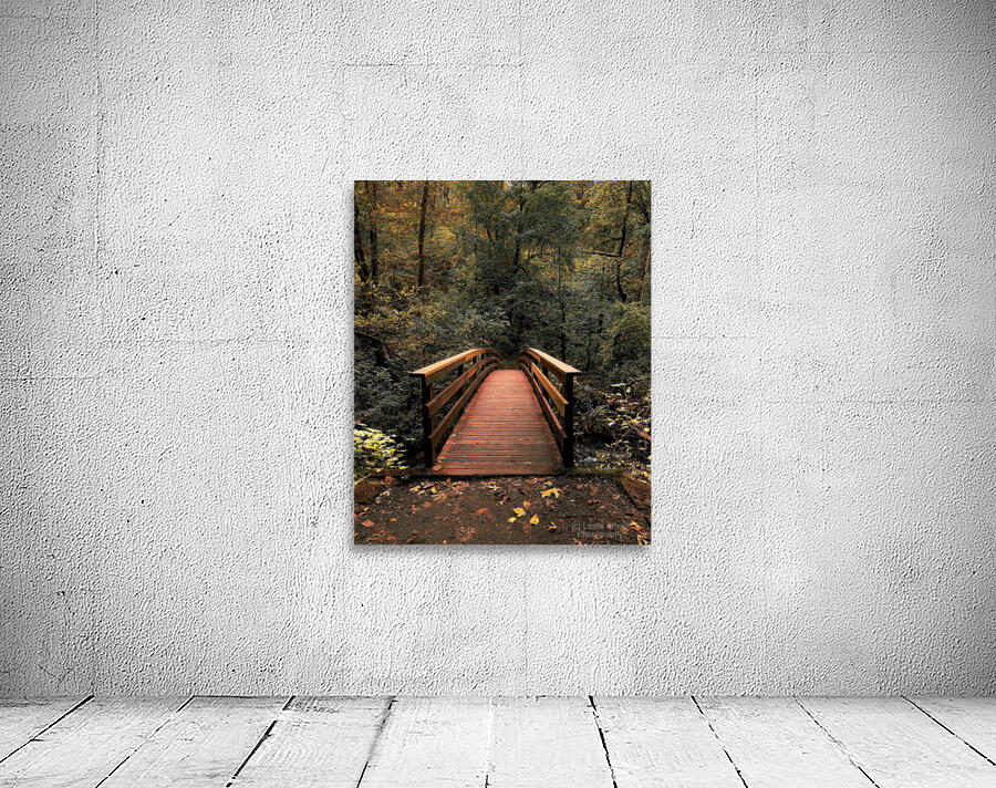 The path less traveled -vertical Wall Preview