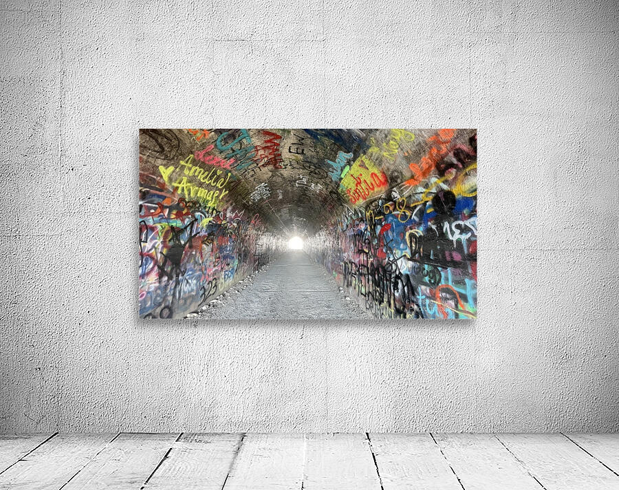 Baird Springs Tunnel -horizontal Wall Preview