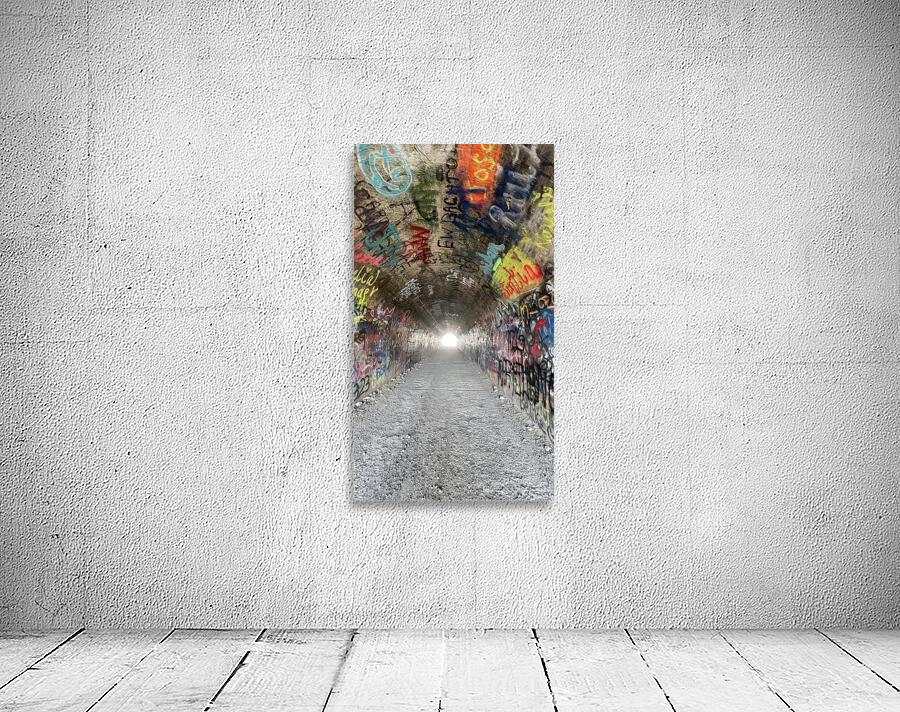 Baird Springs Tunnel -vertical Wall Preview