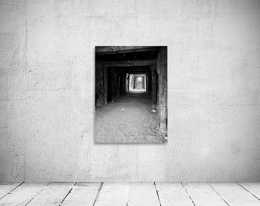 Old mine tunnel -Oatman AZ Wall Preview