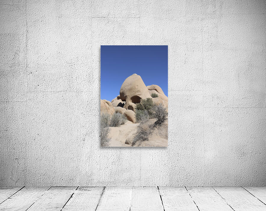 Skull Rock Joshua Tree National Park Wall Preview