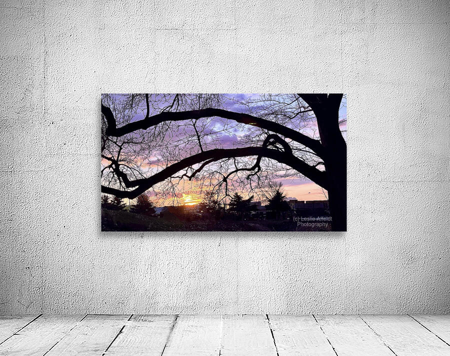 Purple and Orange Wall Preview