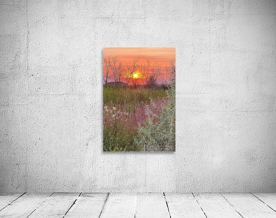 Sunset on Silica Road Wall Preview