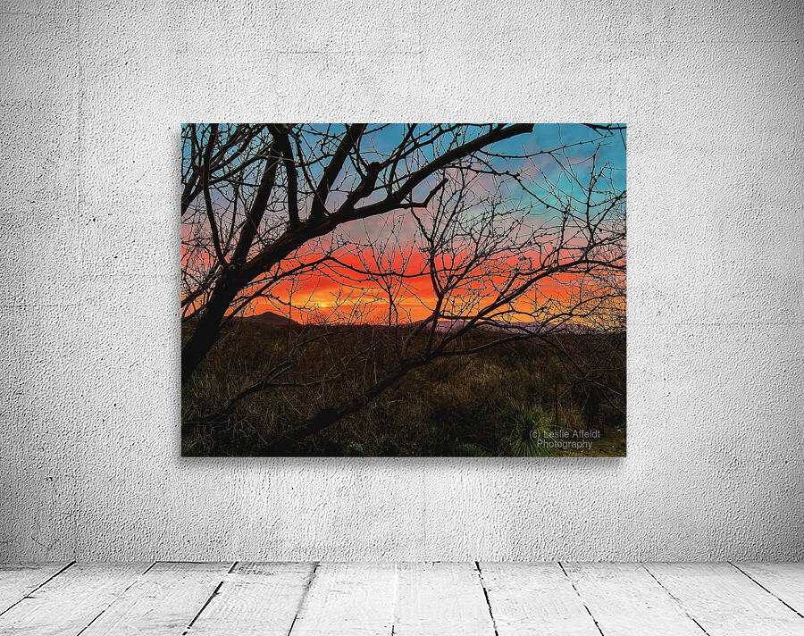 Colors of the Desert Wall Preview