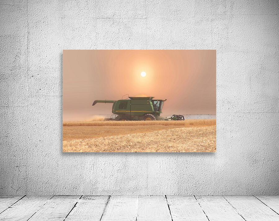 Wheat Havest Sundown Wall Preview