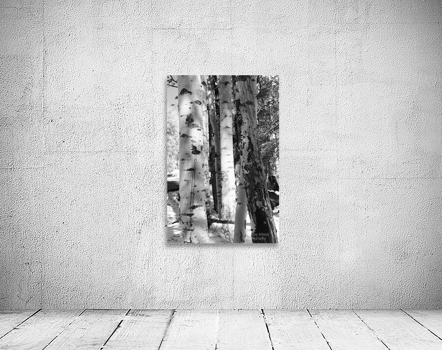 IMG 4696 Wall Preview