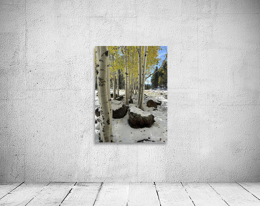 IMG 9854 Wall Preview