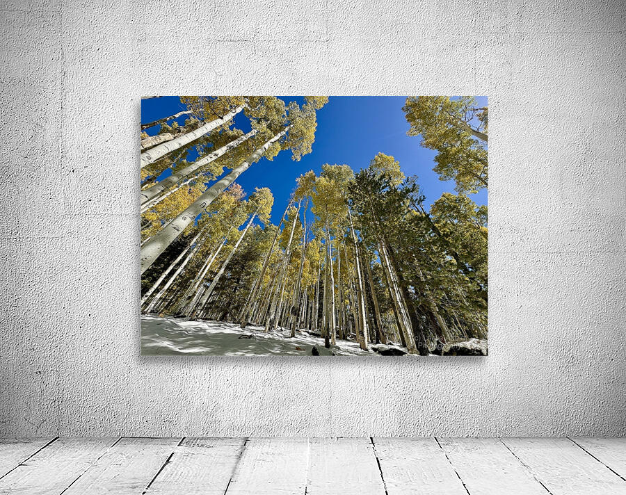 IMG 9874 Wall Preview