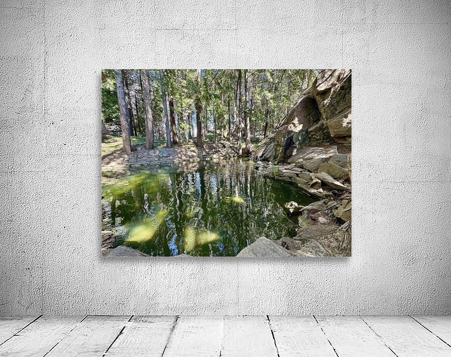 Ohme Gardens reflection pond Wenatchee Wa Wall Preview