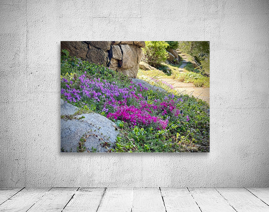 Spring flowers in Ohme Gardens Wall Preview