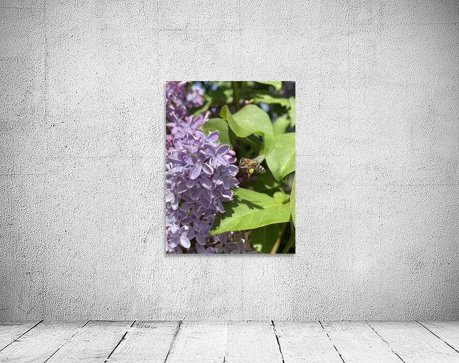 Saving the World Wall Preview