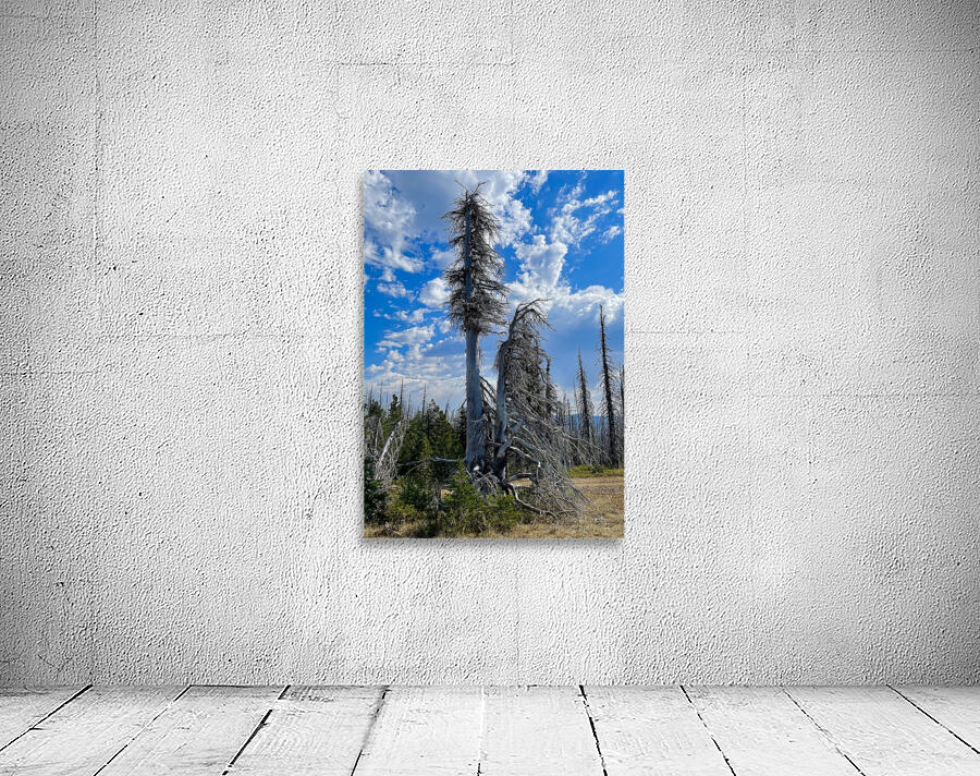 Forest of the dead Wall Preview