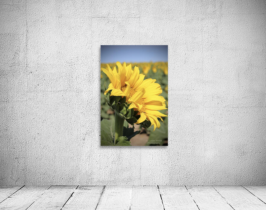 This is my best side Wall Preview