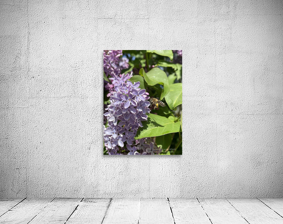 Bee-live  Wall Preview