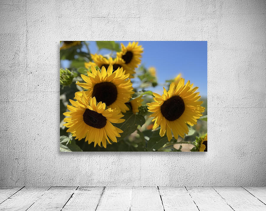 Happy Sunflowers Wall Preview