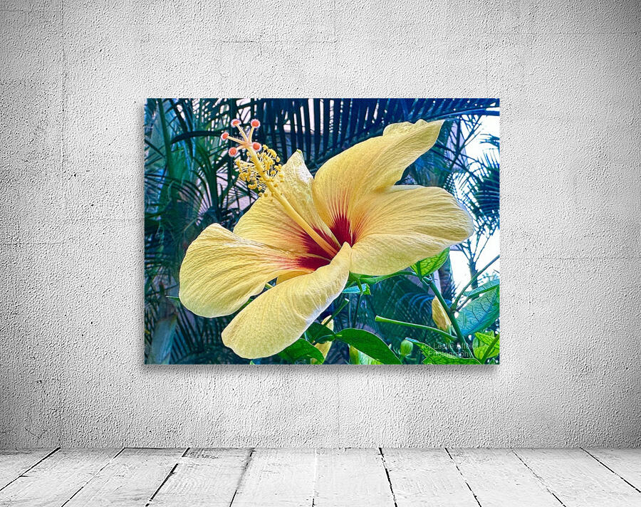 Yellow Hibiscus Wall Preview
