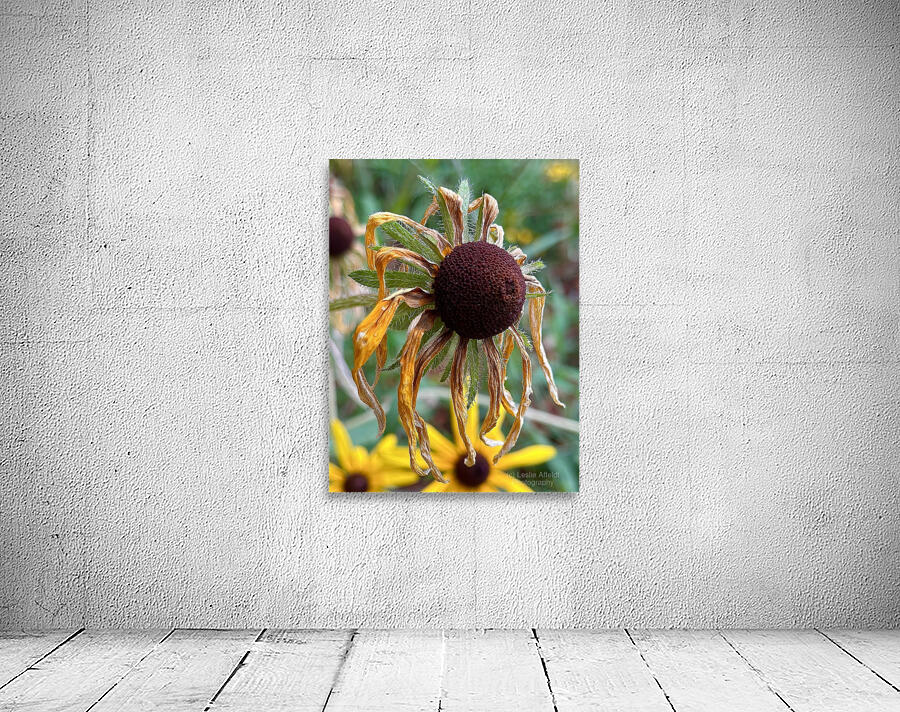 Time Served Wall Preview