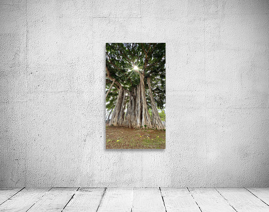 Banyan Tree Wall Preview