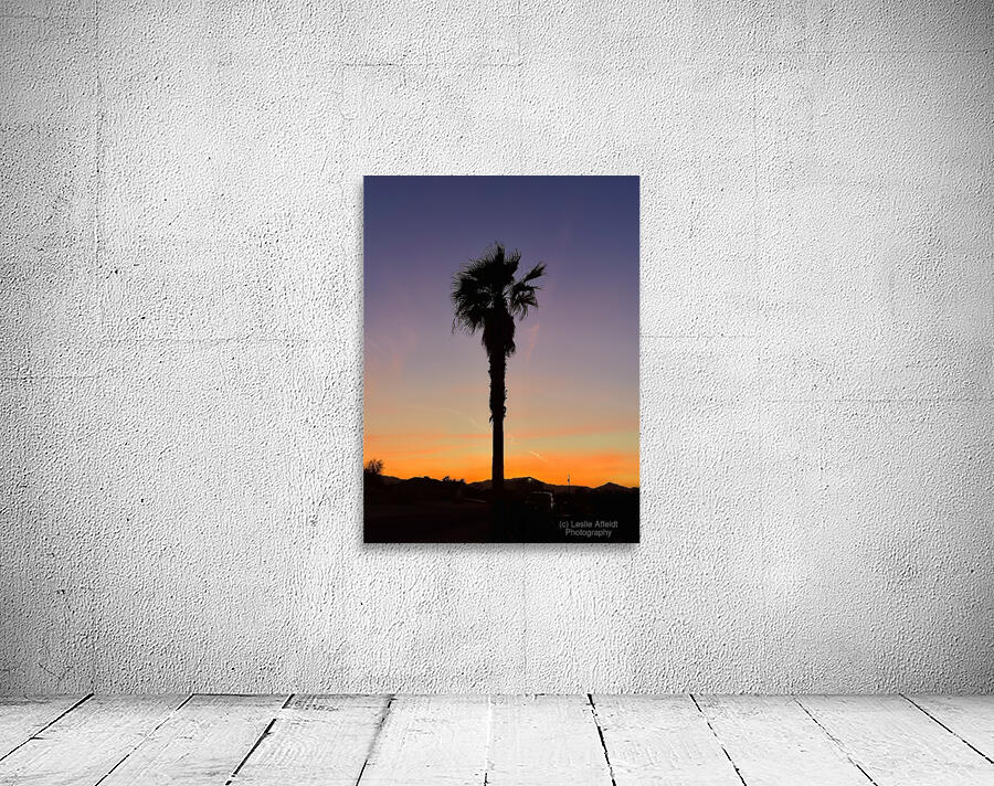 Afterglow Palm Wall Preview