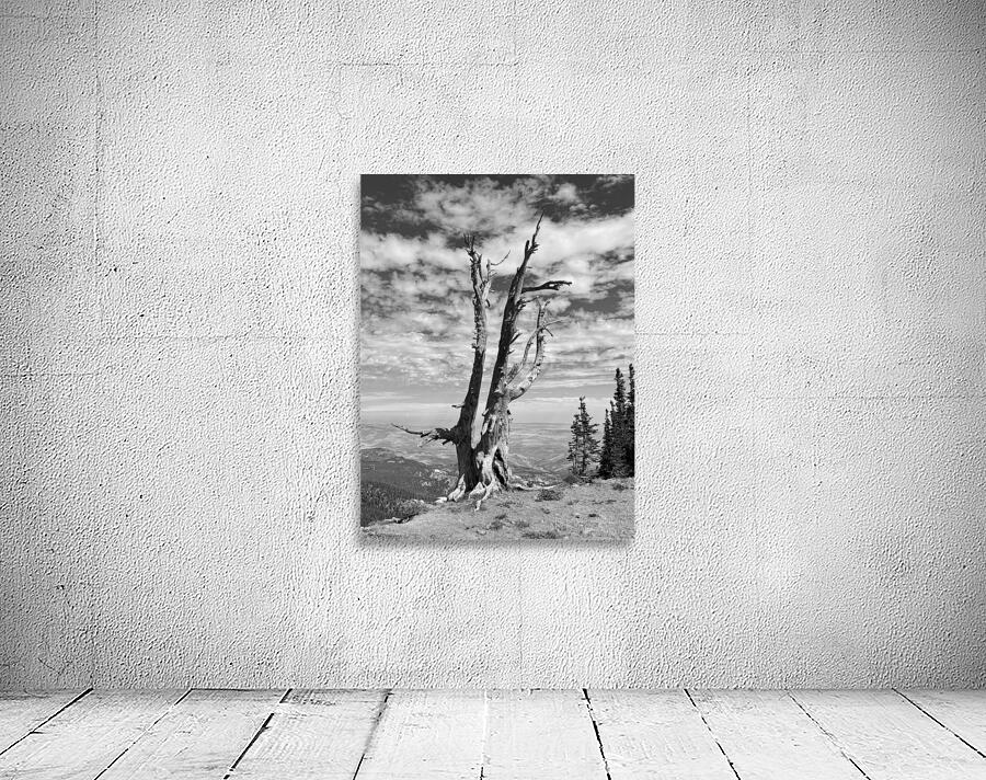 Wenatchee Overlook - black and white Wall Preview