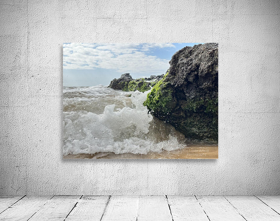 IMG 0842 Wall Preview