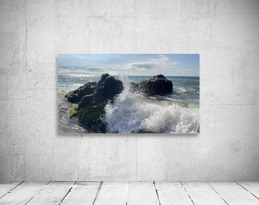 IMG 0939 Wall Preview